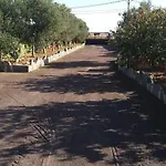 La Gayria * Tiscamanita