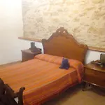 La Gayria * Tiscamanita
