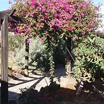 La Gayria Tiscamanita